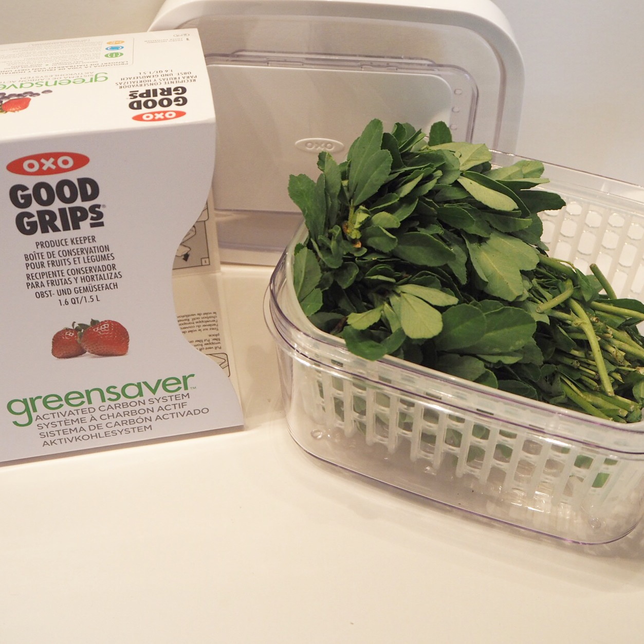 OXO Good Grips Greensaver Herb Keeper